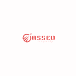 Asseo - Digital Marketig Agency, Kolkata, logo