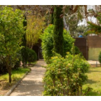 Rehab detox center Emil, Netanya Rehab detox center Emil, Netanya