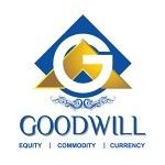 Goodwill Wealth Management Pvt Ltd.,, Chennai, logo