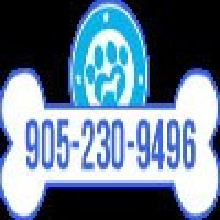 Dog Euthanasia In Toronto, Brampton Dog Euthanasia In Toronto, Brampton