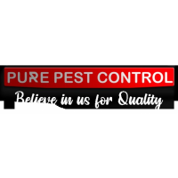 Pure Pest Control, Ludhiana