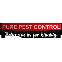 Pure Pest Control, Ludhiana Pure Pest Control, Ludhiana