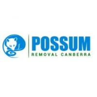Possum Removal Canberra, Canberra Possum Removal Canberra, Canberra