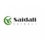 Saidali Jinan New Material Co.,Ltd, Jinan, logo
