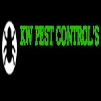 Pest Control Services Guelph, Guelph