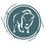 Noble Premium Bison, Calgary, logo