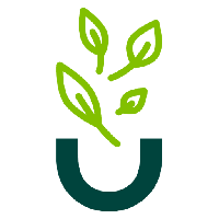 Nut&Health Nutricionista Valencia | Nutricionista deportivo Valencia, Valencia Nut&Health Nutricionista Valencia | Nutricionista deportivo Valencia, Valencia