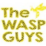 The Wasp Guys, Merstham, logo