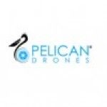 Pelican Drones, Pensacola, logo