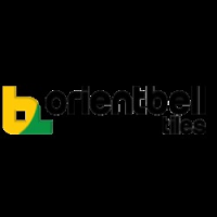 ORIENTBELL TILES- LUCKNOW, LUCKNOW ORIENTBELL TILES- LUCKNOW, LUCKNOW