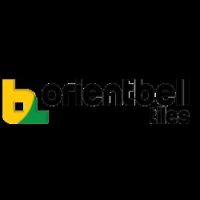 ORIENTBELL TILES- LUCKNOW, LUCKNOW