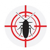 Ultra Secure Pest Control Services in Thane, Thane,