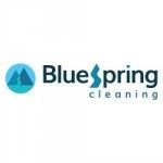BlueSpring Cleaning, Denver, logo