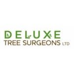 Deluxe Tree Surgeons Ltd, Sunderland, logo