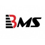 BMS Auditing, Al Barsha, logo