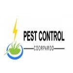Pest Control Coorparoo, Coorparoo, logo