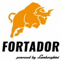Fortador LLC, Florida