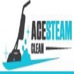 Ace Tile and Grout Cleaning Canberra, Canberra, logo