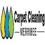 Carpet Cleaning Werribee, Werribee, VIC, logo