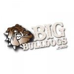 Big Bulldogs, Vista, logo