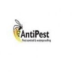 AntiPest Solutions-Anti Termite Treatment in Chandigarh, Chandigarh, logo