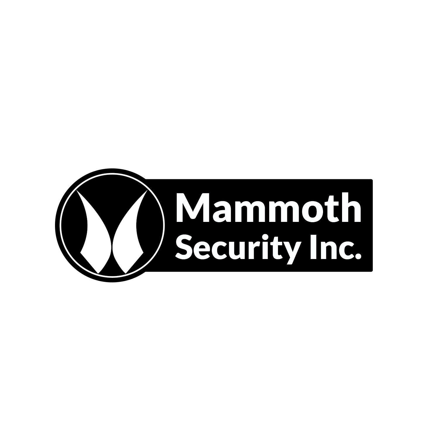 Mammoth Security Inc. West Hartford, West Hartford, CT