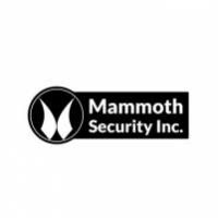Mammoth Security Inc. West Hartford, West Hartford, CT