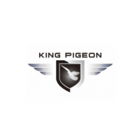 King Pigeon Communication Co., Ltd., ShenZhen