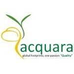 Acquara Management Consultant, Dubai, logo