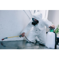 Local Pest Control Kellyville, Kellyville Local Pest Control Kellyville, Kellyville