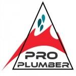 Pro Plumber Ltd, London, logo