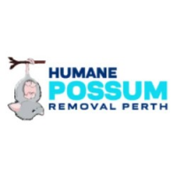 Humane Possum Removal Perth, Perth Humane Possum Removal Perth, Perth