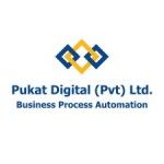 Pukat Digital Pvt Limited, Lahore, logo