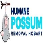 Humane Possum Removal Hobart, Hobart, logo