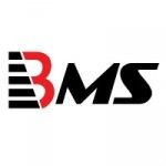 BMS Auditing Oman | Accounting and Audit Firm in Oman, Muscat, logo