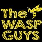 The Wasp Guys, Surrey, logo
