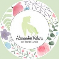 Alexandra Robins Pet Photographer, Melksham