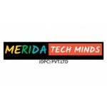 Merida Tech Minds, Bangalore, logo