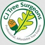 CJ Tree Surgeons, Bromsgrove, logo
