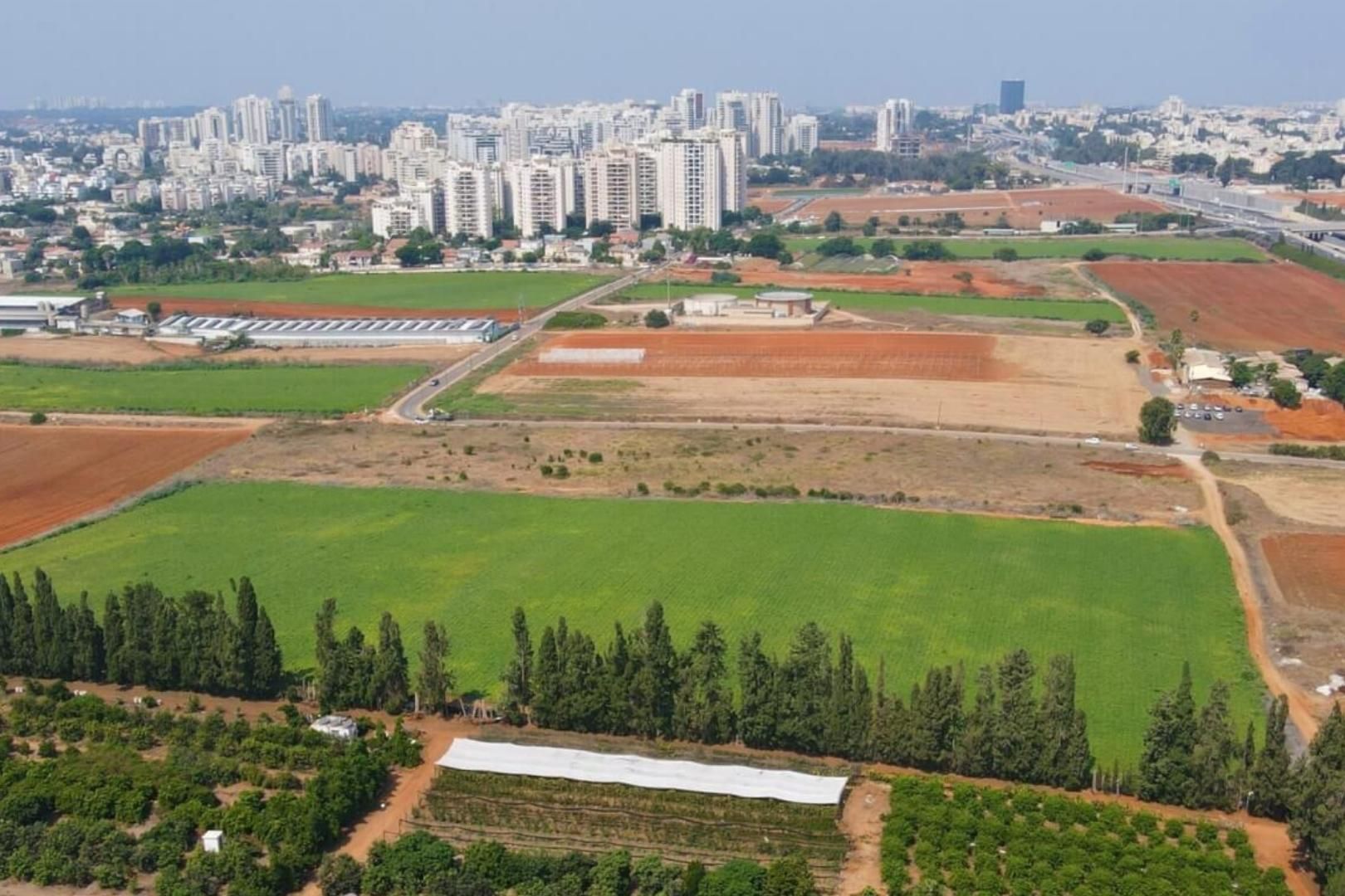 אופטימל אינווסט tel aviv