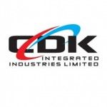 CDK TILES PRODUCTION COMPANY, Ogun, logo