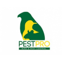 Pestpro Bird Solutions Ltd, Reading