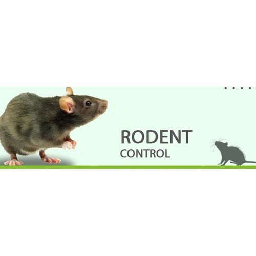RIP Rodent Control Canberra Deakin 