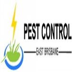 Cockroach Control East Brisbane, East Brisbane, logo