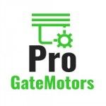 Pro Gate Motors East London, East London, logo
