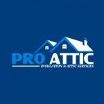 Pro Attic Tampa, Tampa, logo
