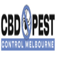 CBD Possum Removal Melbourne, Melbourne