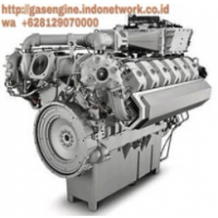 Gas Engine Indonesia, jakarta Gas Engine Indonesia, jakarta