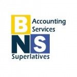 BNS Accounting Services, Docklands, logo