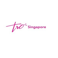 Treasure Orbit Singapore Pte. Ltd., Singapore Treasure Orbit Singapore Pte. Ltd., Singapore